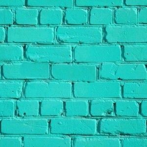 Meet your Posher, Carla